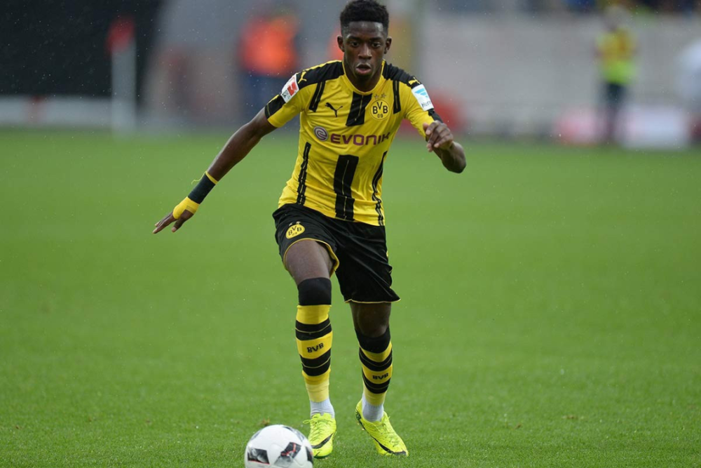 收获的比奖 收获的比奖