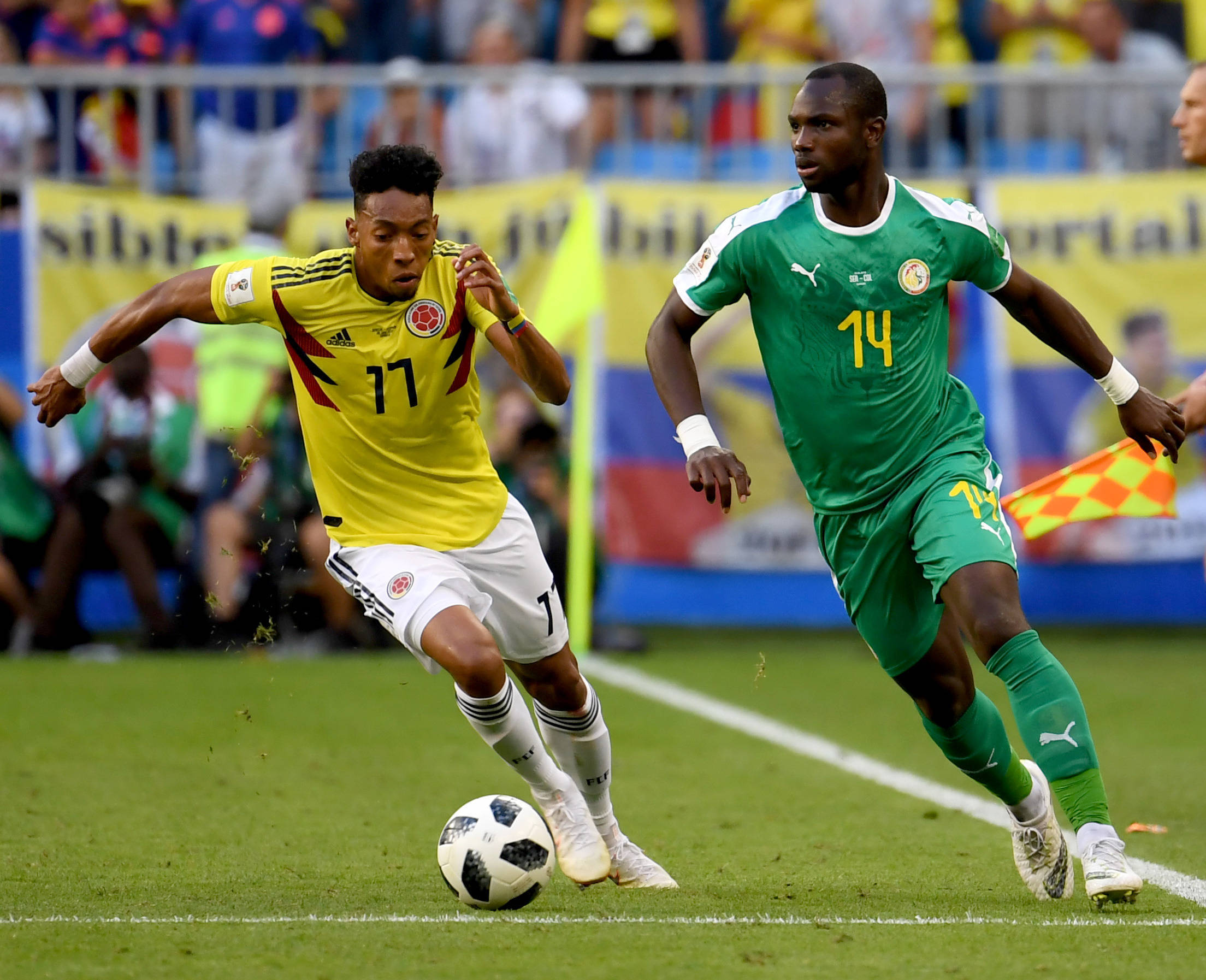 球迷看到了 球迷看到了