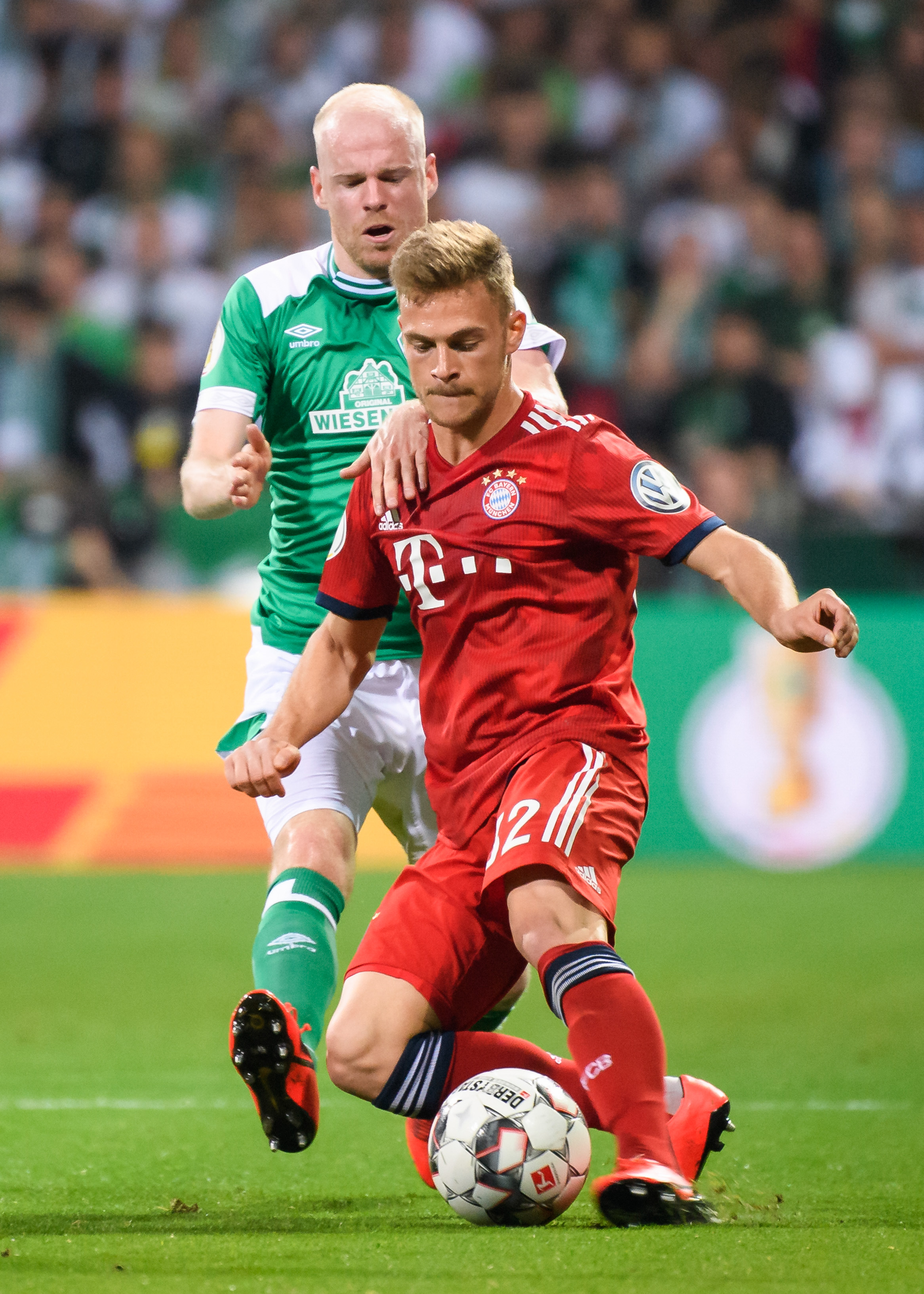 子开花的证 子开花的证