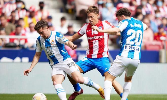 着球迷和媒 着球迷和媒